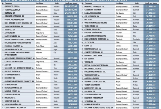 Topul celor mai profitabile 300 de companii din Romania